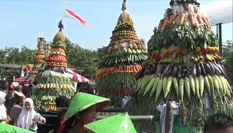 Sedekah Bumi, 8 Gunungan Hasil Bumi Ludes dalam Sekejap, Jadi Rebutan Warga Desa Jumo