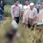 Sempat Memanen Padi, Petani Ditemukan Meninggal di Pematang Sawah
