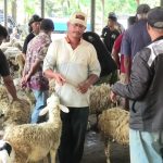 Jelang Iduladha, Masyarakat Diminta Lebih Hati-hati Pilih Hewan Kurban