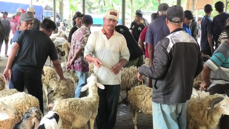 Jelang Iduladha, Masyarakat Diminta Lebih Hati-hati Pilih Hewan Kurban