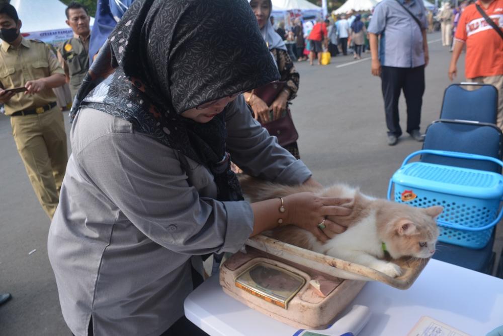 Disnakkeswan Jateng Gelar Vaksinasi Rabies dan Steril Gratis Hewan Peliharaan