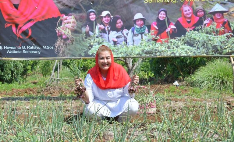 Mbak Ita Ingin Kota Semarang Jadi Pemasok Bawang Merah bagi Kawasan Hinterland