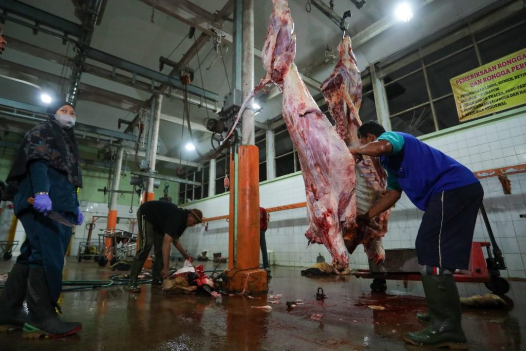 Didampingi Pemprov Jateng, Aktivitas Penyembelihan di RPH Salatiga Makin Maksimal