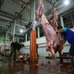 Didampingi Pemprov Jateng, Aktivitas Penyembelihan di RPH Salatiga Makin Maksimal