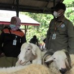 Jelang Iduladha, DKPPP Temanggung Minta Masyarakat Waspadai Beberapa PHMS