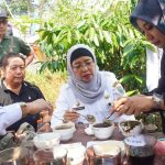 Pj Bupati Batang Sruput Kopi di Wiwitan Panen Kopi Desa Adinuso