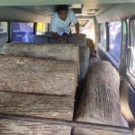 Polres Blora Tangkap Pelaku Pencurian Kayu Jati