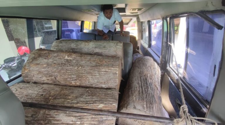Polres Blora Tangkap Pelaku Pencurian Kayu Jati