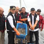 Presiden Jokowi Direncanakan Panen Udang Vanamen di Kebumen