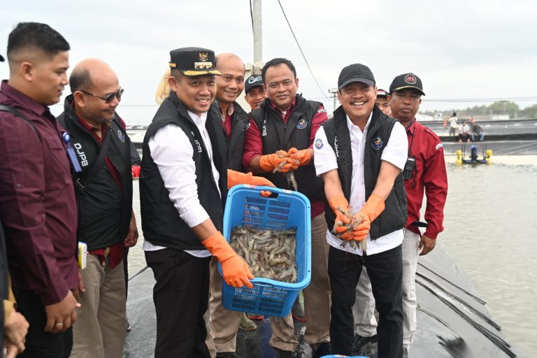 Presiden Jokowi Direncanakan Panen Udang Vanamen di Kebumen