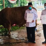 Kepala Biro Administrasi Setpres, Sony Kartiko, secara simbolis menyerahkan hewan kurban Presiden kepada Ketua Harian Badan Pengelola Masjid Istiqlal, Asep Syaifuddin, di Masjid Istiqlal, Jakarta, Senin (19/07).