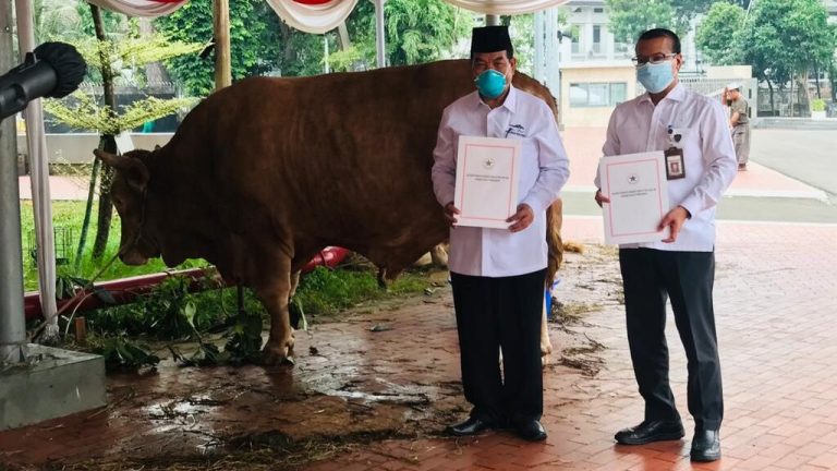 Kepala Biro Administrasi Setpres, Sony Kartiko, secara simbolis menyerahkan hewan kurban Presiden kepada Ketua Harian Badan Pengelola Masjid Istiqlal, Asep Syaifuddin, di Masjid Istiqlal, Jakarta, Senin (19/07).