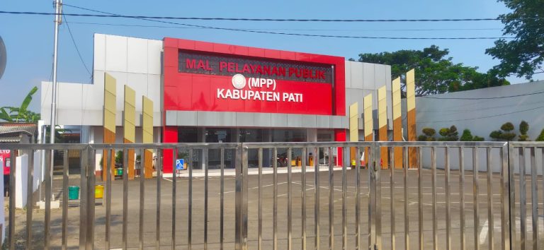 Kritik Ketersediaan Fasilitas Publik untuk Disabilitas, Ketua PPDI Pati: Hanya Bagus Dari Luar