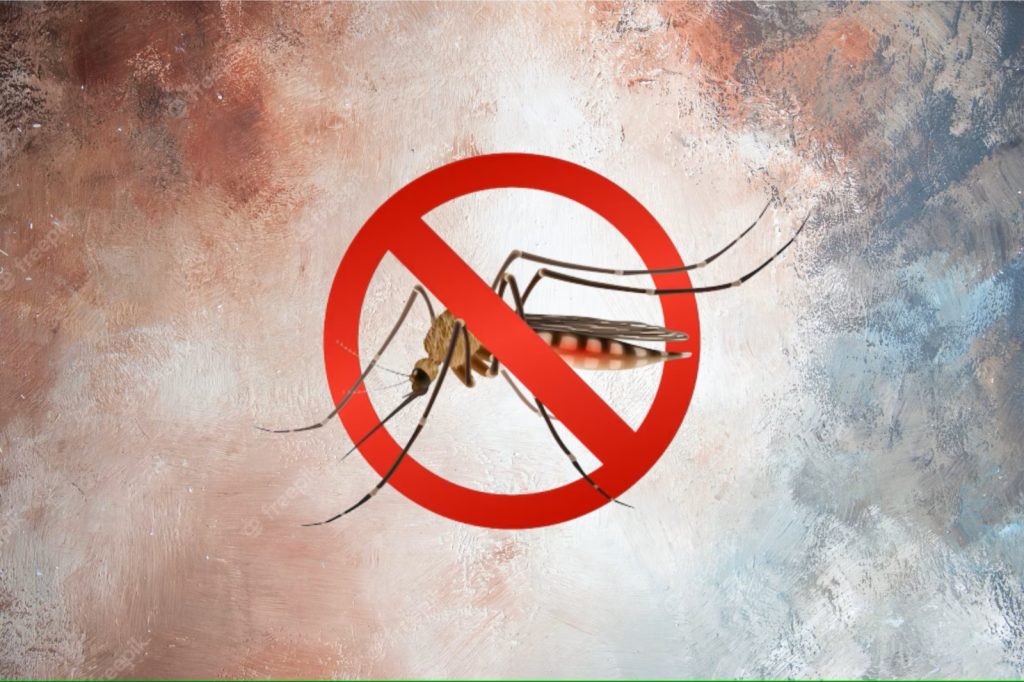 Ilustrasi Nyamuk Malaria