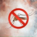 Ilustrasi Nyamuk Malaria