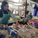 Pedagang Resah, Sejak Awal Juni Harga Ayam Potong Masih Melangit (Foto: Dok MC Batang)