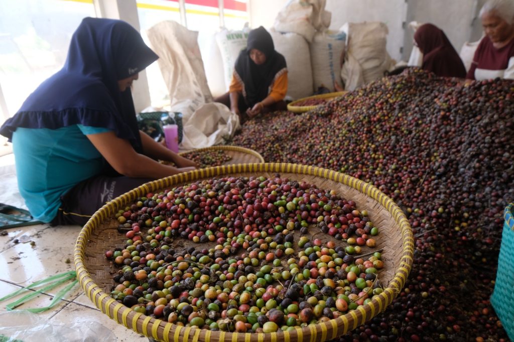Petani Kopi Temanggung