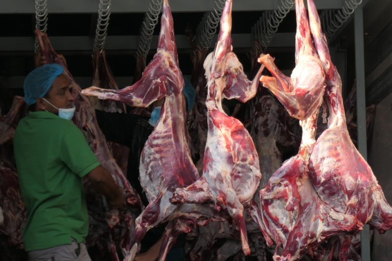 Perdana, Daging Dam Petugas dan Jemaah Haji Dikirim ke Indonesia