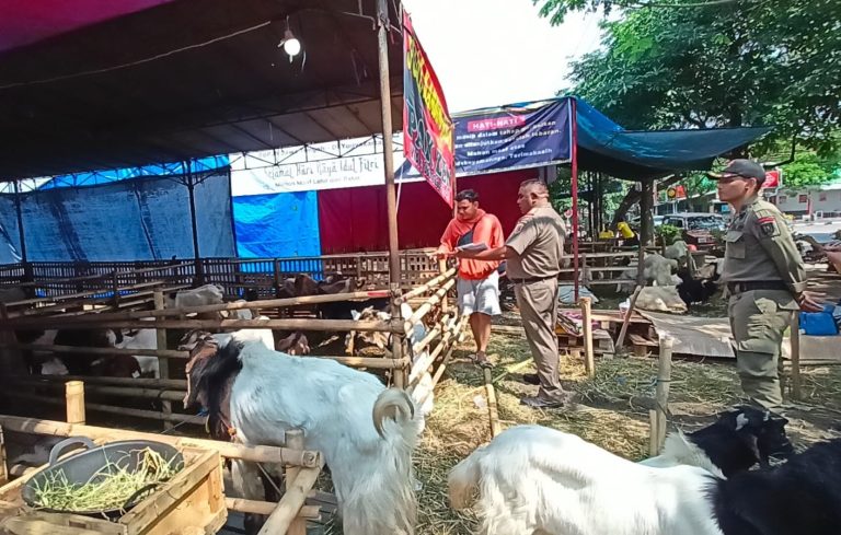 Mbak Ita Sebut Akan Gunakan Dana BTT Guna Pembelian Vaksin Antraks