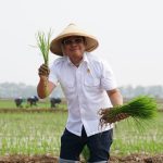 NFA Bersama BRIN dan BUMN Tanam Padi Perdana untuk Jaga CBP secara Berkelanjutan