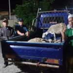 Patroli Tengah Malam, Polsek Banjarharjo Gagalkan Pencurian 4 Ekor Kambing