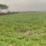 BPBD Demak Antisipasi Puncak Kemarau di 100 Desa dari 14 Kecamatan