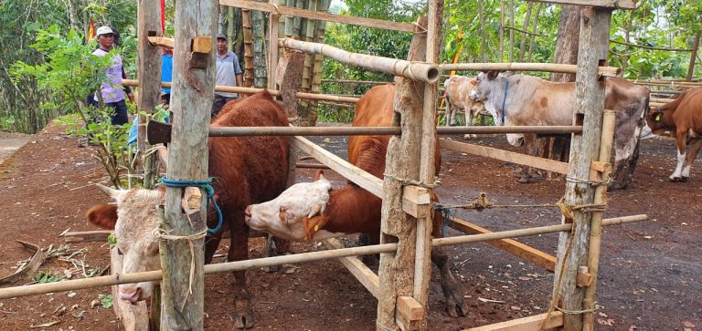 Ini Langkah Pemerintah Kendalikan Antraks di Gunung Kidul