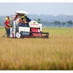 KemenKopUKM Kembangkan Pilot Project Koperasi Modern Petani Padi di Tuban
