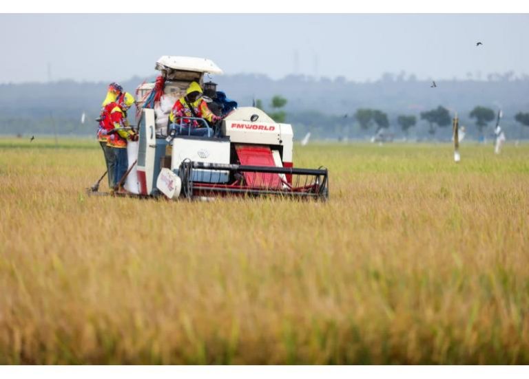 KemenKopUKM Kembangkan Pilot Project Koperasi Modern Petani Padi di Tuban