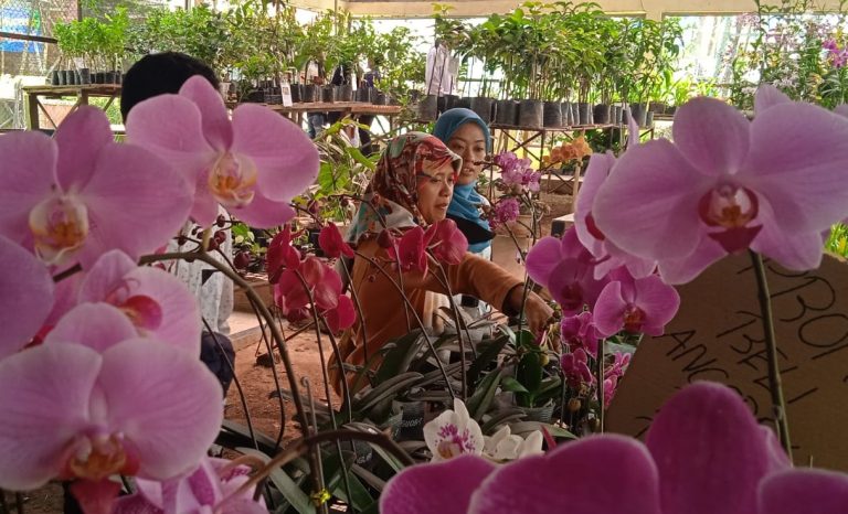 Distan Pangan Kabupaten Magelang Dorong Taman Anggrek Bojong Jadi Tempat Edukasi dan Budidaya