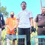Polisi Tangkap Pedagang Burung Asal Kendal yang Jual 100 Ekor Satwa Dilindungi