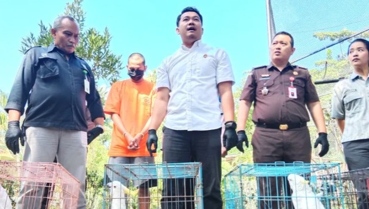 Polisi Tangkap Pedagang Burung Asal Kendal yang Jual 100 Ekor Satwa Dilindungi