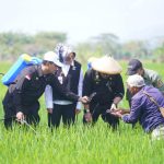 Kunjungi Karangdowo, Mentan SYL Canangkan Gerakan Pengamanan Produksi Padi