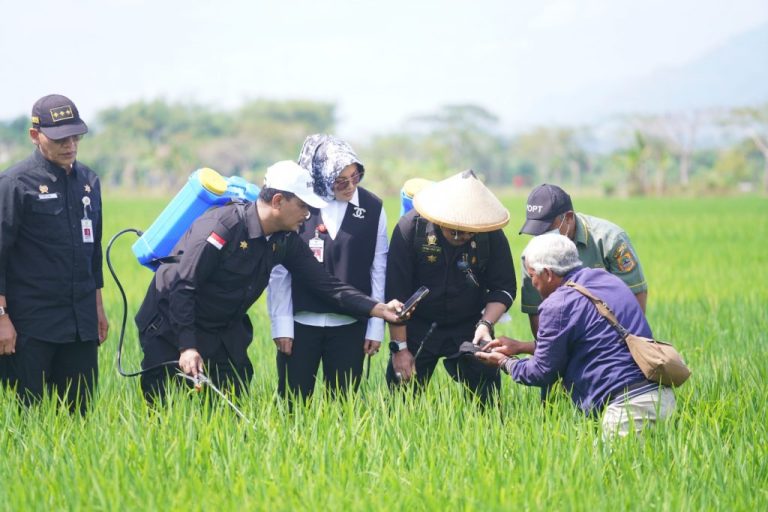 Kunjungi Karangdowo, Mentan SYL Canangkan Gerakan Pengamanan Produksi Padi