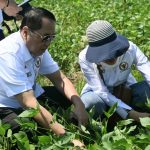 Anggota Komisi IV DPR RI Firman Soebagyo (kiri) saat mengunjungi ladang kedelai dan kacang hijau di Kabupaten Demak, Jawa Tengah.