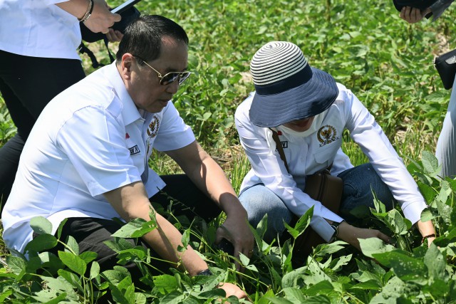 Anggota Komisi IV DPR RI Firman Soebagyo (kiri) saat mengunjungi ladang kedelai dan kacang hijau di Kabupaten Demak, Jawa Tengah.