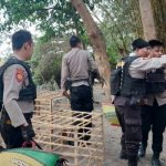 Meresahkan, Polisi Bubarkan Arena Judi Sabung Ayam, Puluhan Motor Diamankan