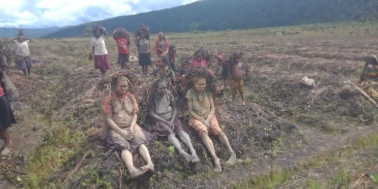 Dampak El Nino, Enam Warga Papua Tengah Meninggal Akibat Kelaparan