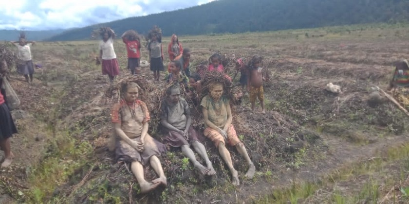 Dampak El Nino, Enam Warga Papua Tengah Meninggal Akibat Kelaparan