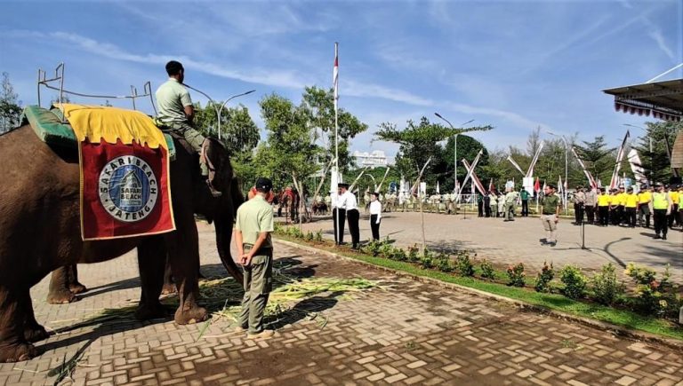 Memperingati HUT Ke-78 RI, Satwa Taman Safari Beach Jateng Ikut Upacara Bendera