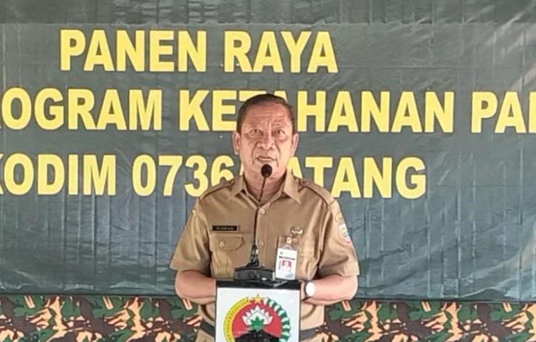 Demplot Berhasil, Pemkab Batang Siap Tebarkan Bibit Padi Protani dan Protangguh