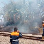 Berbahaya, Efek Membakar Sampah di Dekat Jalur Rel Kereta Api