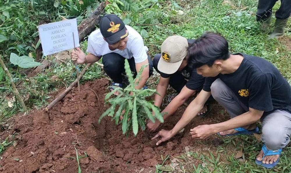 Debit Air di Sumber Silembu Menyusut, Remaja Silegok Tanam Bibit Aren