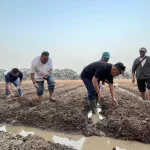 Langkah PT Sang Hyang Seri Jajaki Kerja Sama dengan Perusahaan Pertanian Global