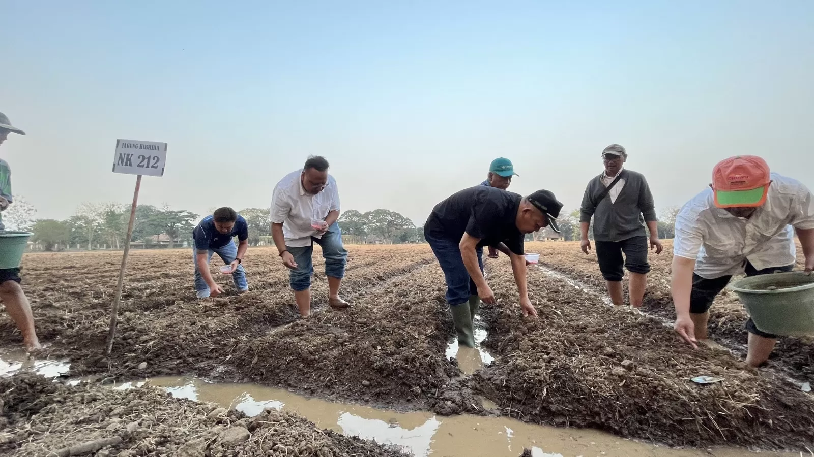 Langkah PT Sang Hyang Seri Jajaki Kerja Sama dengan Perusahaan Pertanian Global