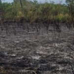 Polisi Bersama Warga dan Damkar Padamkan Kebakaran Lahan di Wonopringgo