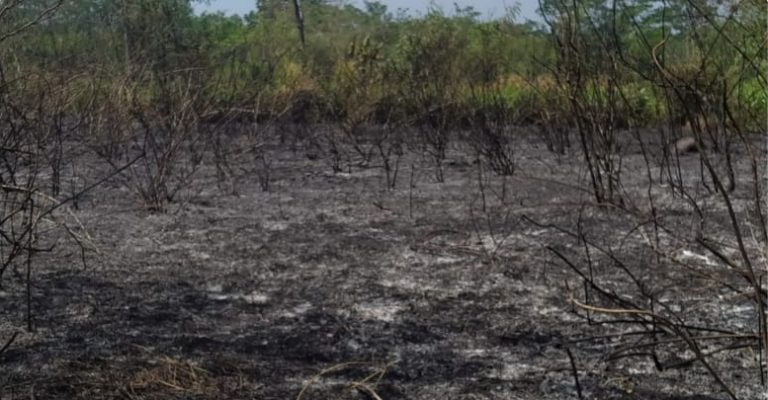 Polisi Bersama Warga dan Damkar Padamkan Kebakaran Lahan di Wonopringgo
