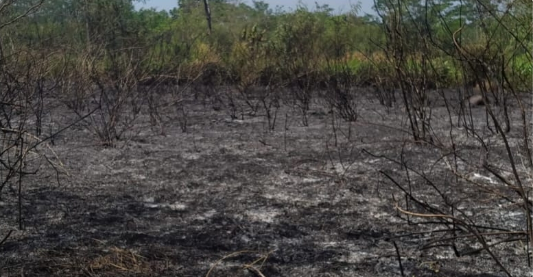 Polisi Bersama Warga dan Damkar Padamkan Kebakaran Lahan di Wonopringgo