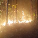 Lahan Milik Warga Terbakar, Polres Semarang Turun ke Lokasi