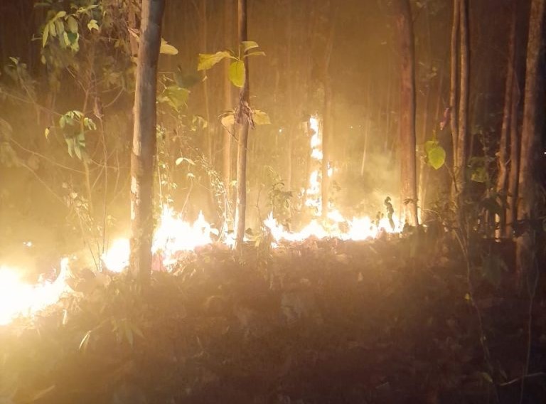 Lahan Milik Warga Terbakar, Polres Semarang Turun ke Lokasi